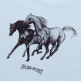 Load image into Gallery viewer, PassPort Brumbies T-Shirt Sky Blue
