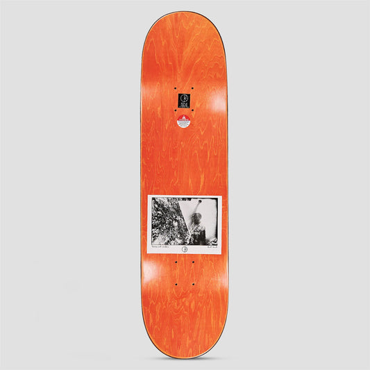 Polar 8.375 Paul Grund Man With Window Skateboard Deck