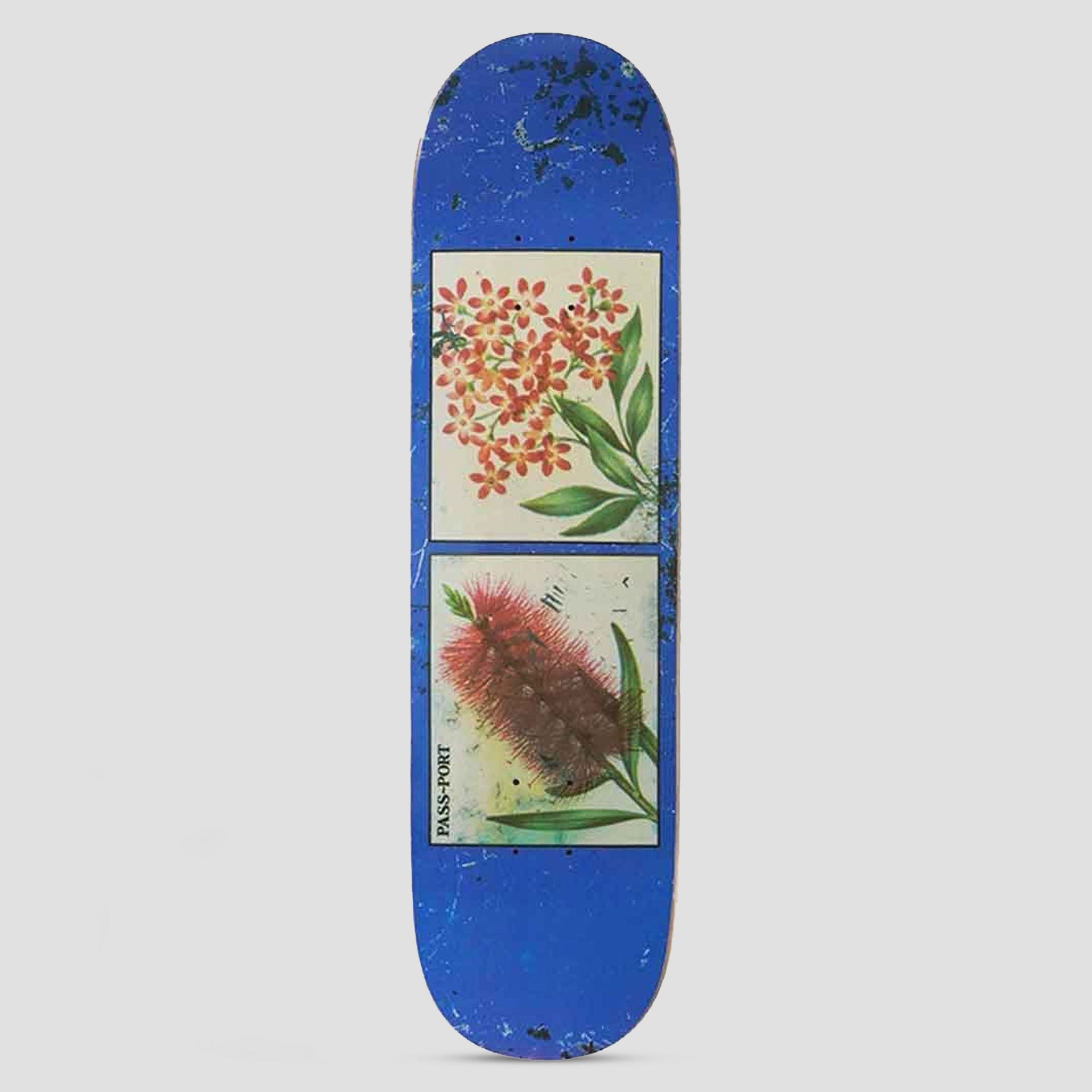 Passport 8.25 Tin Floral Series Bottles & Stars Skateboard Deck