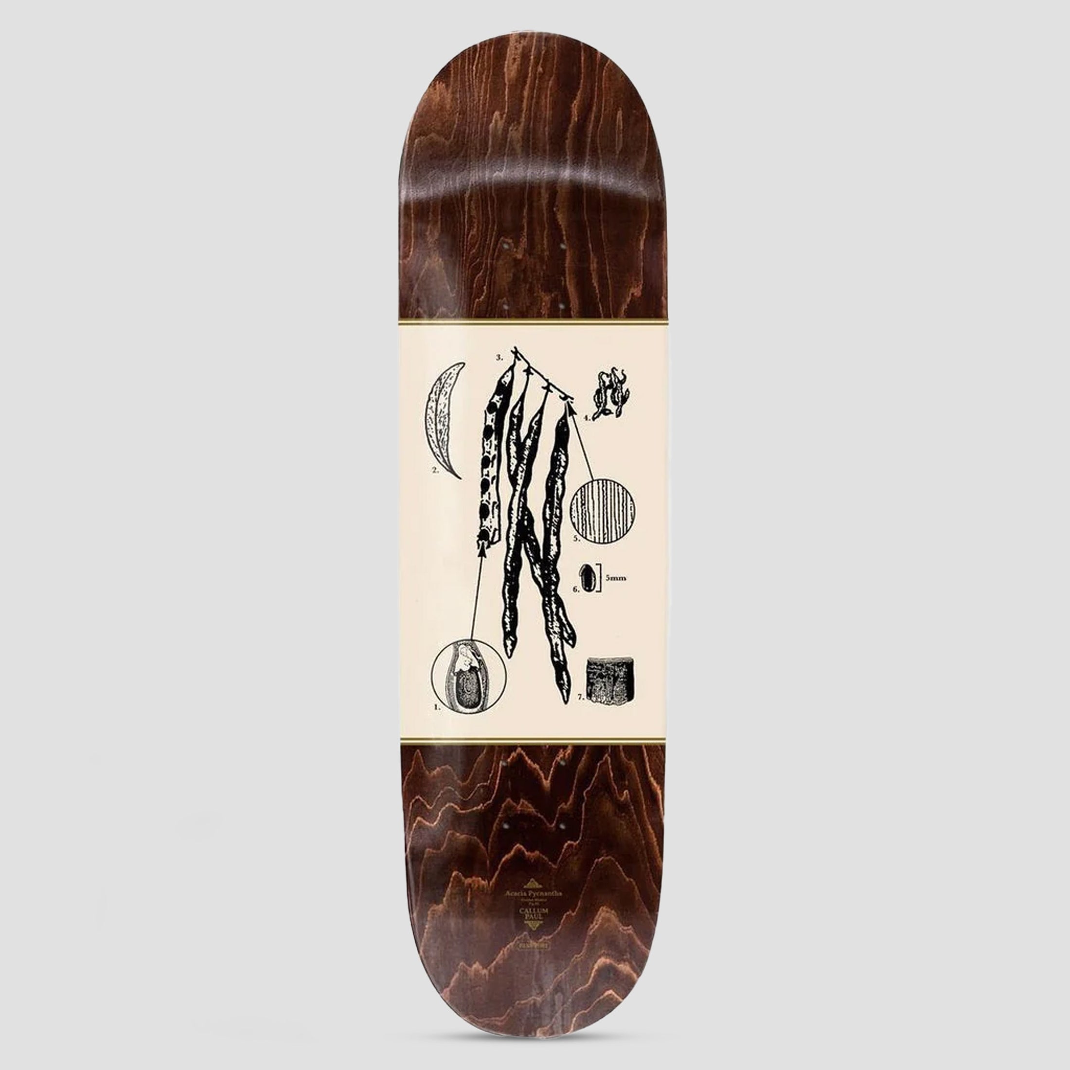 Passport 8.25 Pro Series Callum Acacia Skateboard Deck