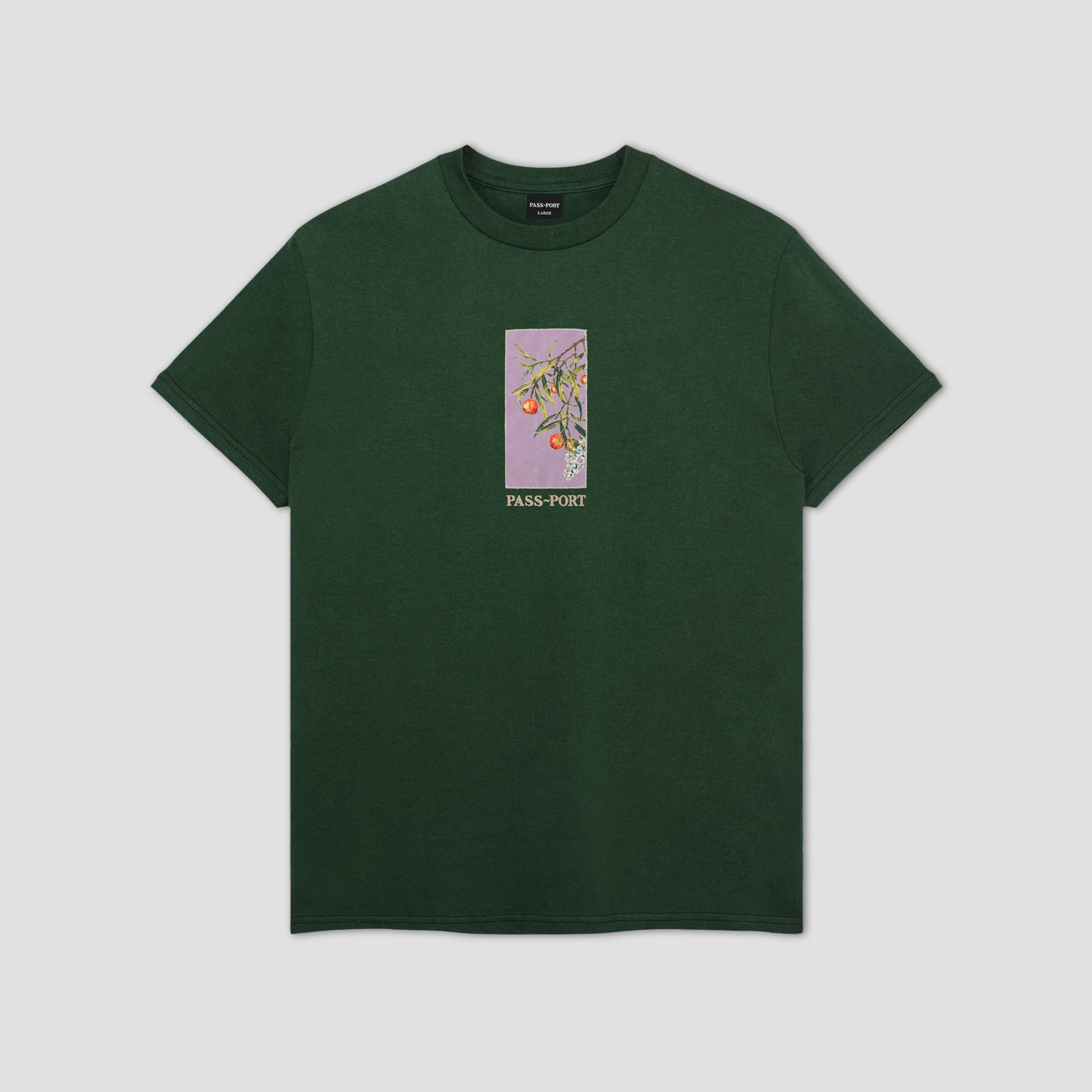 Passport Quandong T-Shirt Forest Green