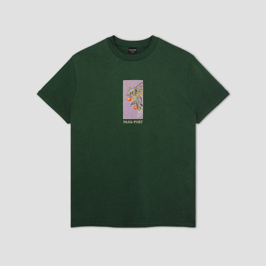 Passport Quandong T-Shirt Forest Green