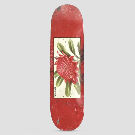 Passport 8.0 Tin Floral Series Waratah Skateboard Deck